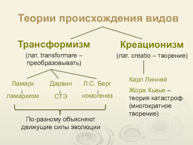 Теории происхождения видов Креационизм (лат. creatio – творение) Трансформизм (лат. transformare –