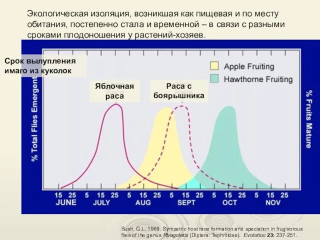 Bush, G.L. 1969. Sympatric host race formation and speciation in frugivorous flies