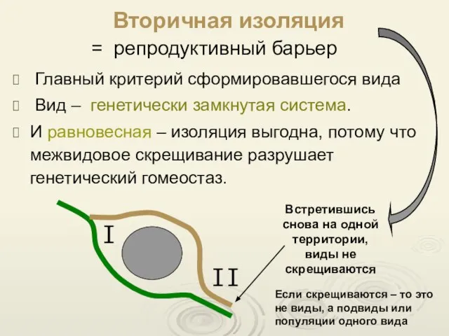 Вторичная изоляция Главный критерий сформировавшегося вида Вид – генетически замкнутая система. И