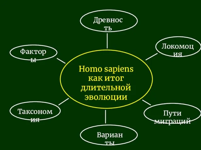 Homo sapiens как итог длительной эволюции Древность Локомоция Факторы Таксономия Пути миграций Варианты