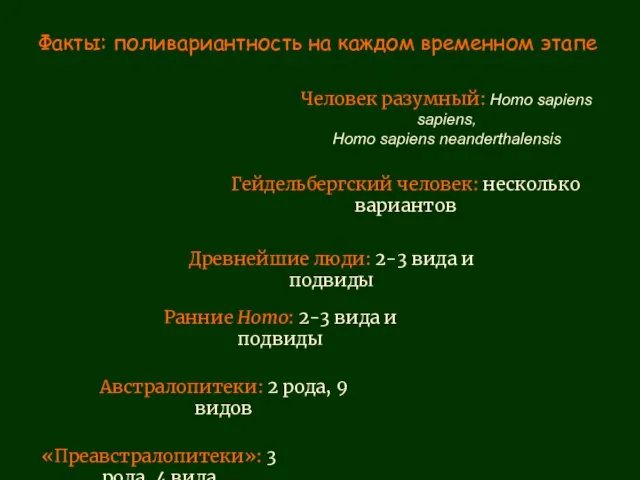 Факты: поливариантность на каждом временном этапе «Преавстралопитеки»: 3 рода, 4 вида Австралопитеки: