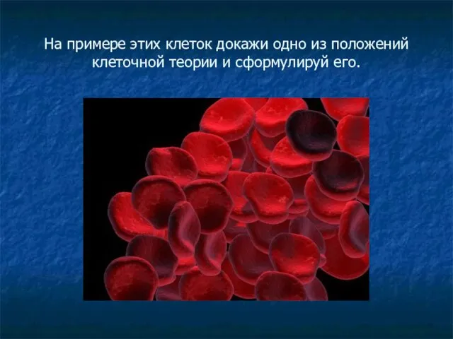 На примере этих клеток докажи одно из положений клеточной теории и сформулируй его.