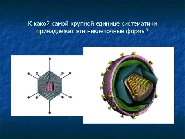 К какой самой крупной единице систематики принадлежат эти неклеточные формы?