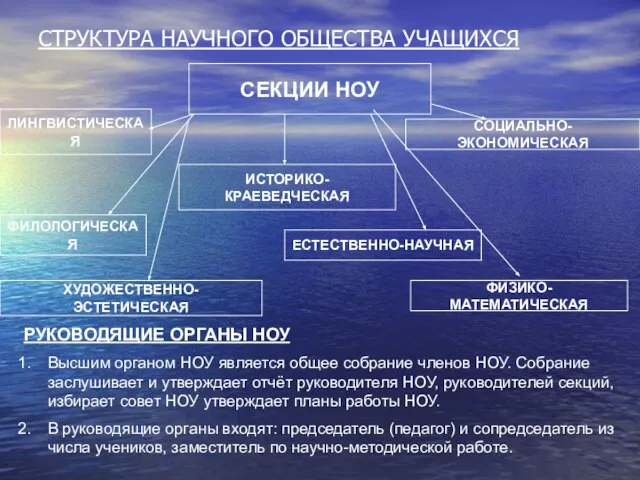 СТРУКТУРА НАУЧНОГО ОБЩЕСТВА УЧАЩИХСЯ СЕКЦИИ НОУ ЛИНГВИСТИЧЕСКАЯ ИСТОРИКО-КРАЕВЕДЧЕСКАЯ ФИЛОЛОГИЧЕСКАЯ ЕСТЕСТВЕННО-НАУЧНАЯ СОЦИАЛЬНО-ЭКОНОМИЧЕСКАЯ ФИЗИКО-МАТЕМАТИЧЕСКАЯ