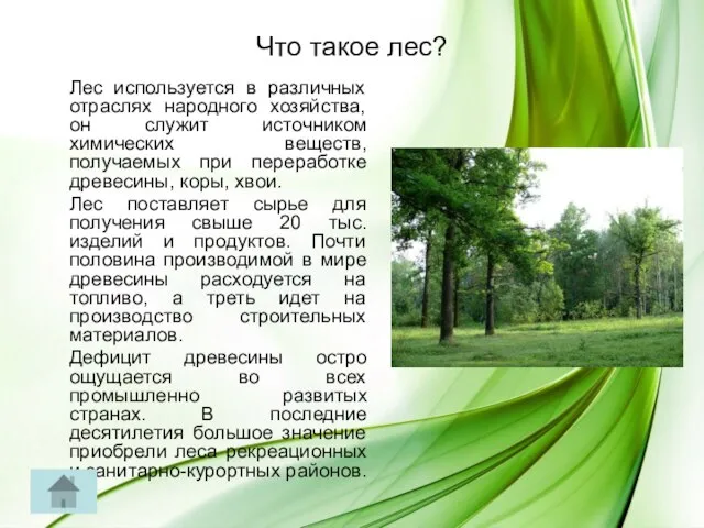 Что такое лес? Лес используется в различных отраслях народного хозяйства, он служит