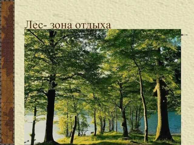 Лес- зона отдыха