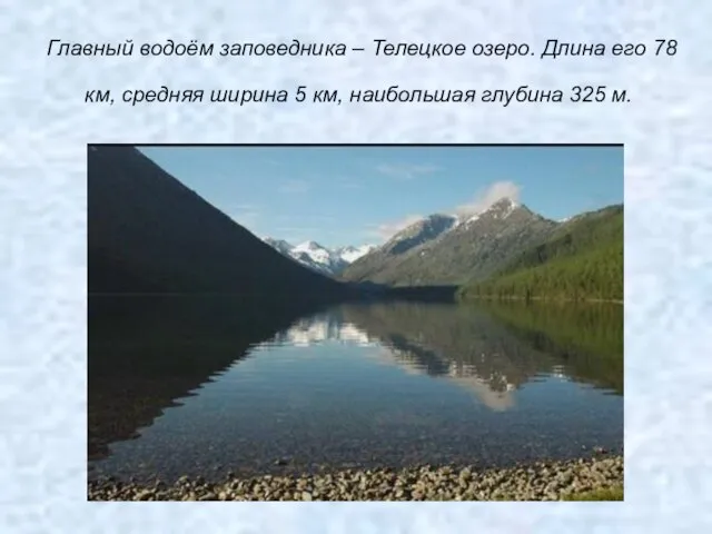 Главный водоём заповедника – Телецкое озеро. Длина его 78 км, средняя ширина