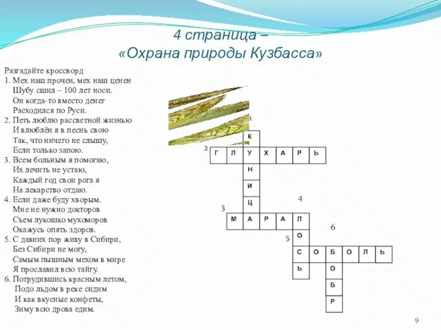 4 страница – «Охрана природы Кузбасса» Разгадайте кроссворд 1. Мех наш прочен,