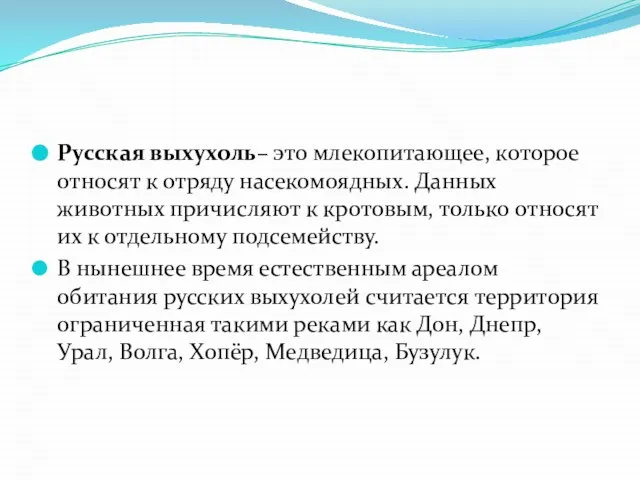 Русская выхухоль– это млекопитающее, которое относят к отряду насекомоядных. Данных животных причисляют