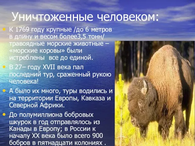 Уничтоженные человеком: К 1769 году крупные /до 6 метров в длину и