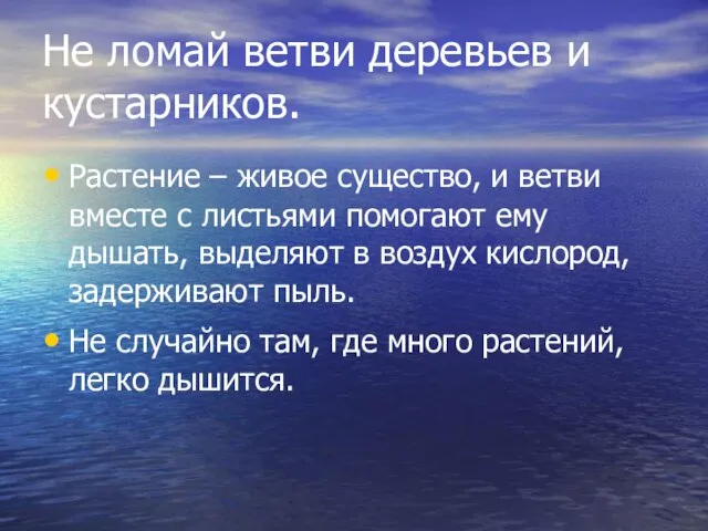 Не ломай ветви деревьев и кустарников. Растение – живое существо, и ветви