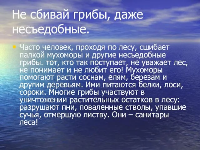 Не сбивай грибы, даже несъедобные. Часто человек, проходя по лесу, сшибает палкой