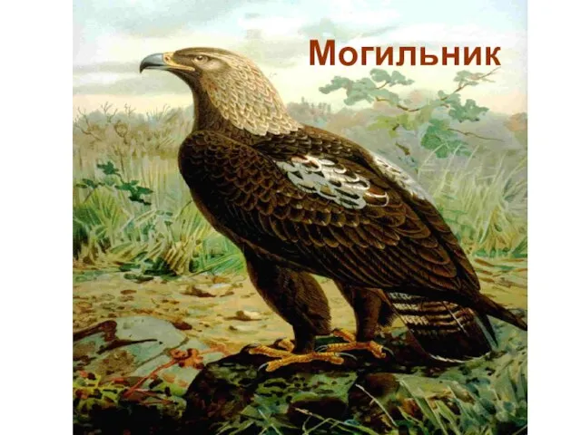 Могильник