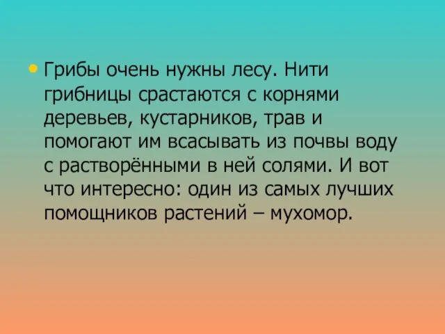 Грибы очень нужны лесу. Нити грибницы срастаются с корнями деревьев, кустарников, трав