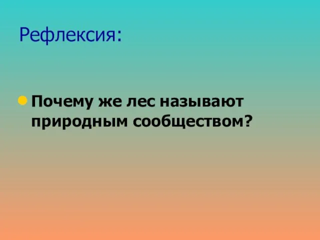 Рефлексия: Почему же лес называют природным сообществом?