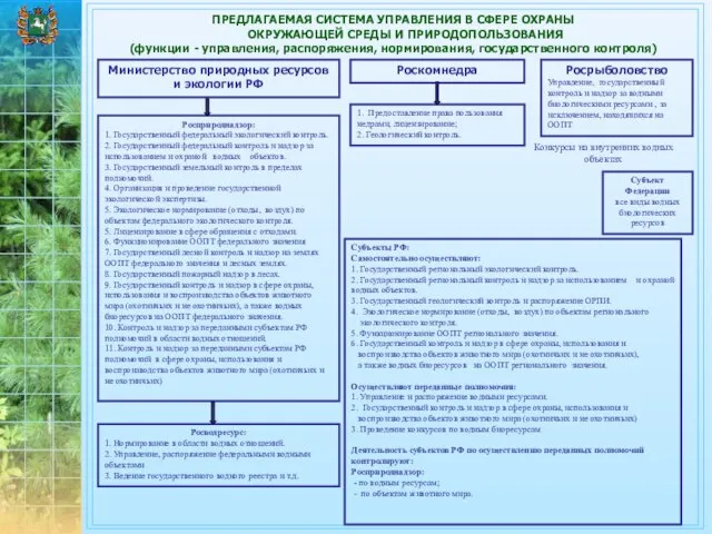 ПРЕДЛАГАЕМАЯ СИСТЕМА УПРАВЛЕНИЯ В СФЕРЕ ОХРАНЫ ОКРУЖАЮЩЕЙ СРЕДЫ И ПРИРОДОПОЛЬЗОВАНИЯ (функции -