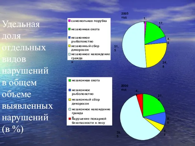 Удельная доля отдельных видов нарушений в общем объеме выявленных нарушений (в %)