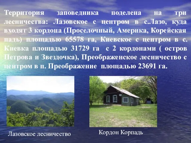 Территория заповедника поделена на три лесничества: Лазовское с центром в с.Лазо, куда