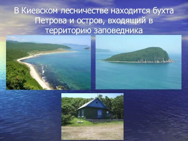 В Киевском лесничестве находится бухта Петрова и остров, входящий в территорию заповедника