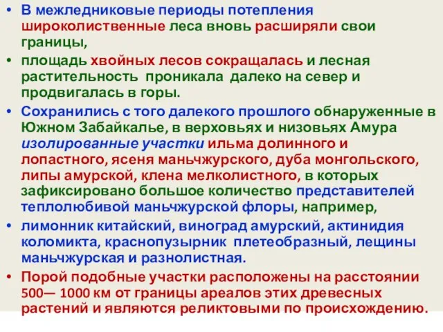 В межледниковые периоды потепления широколиственные леса вновь расширяли свои границы, площадь хвойных