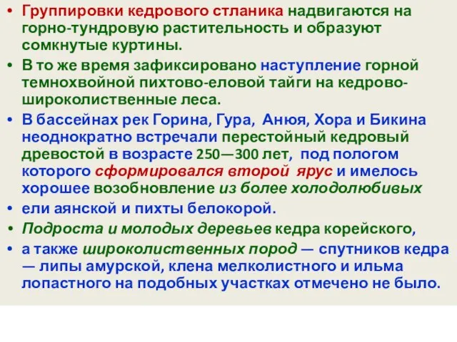 Группировки кедрового стланика надвигаются на горно-тундровую растительность и образуют сомкнутые куртины. В