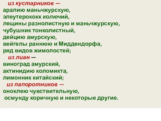 из кустарников — аралию маньчжурскую, элеутерококк колючий, лещины разнолистную и маньчжурскую, чубушник