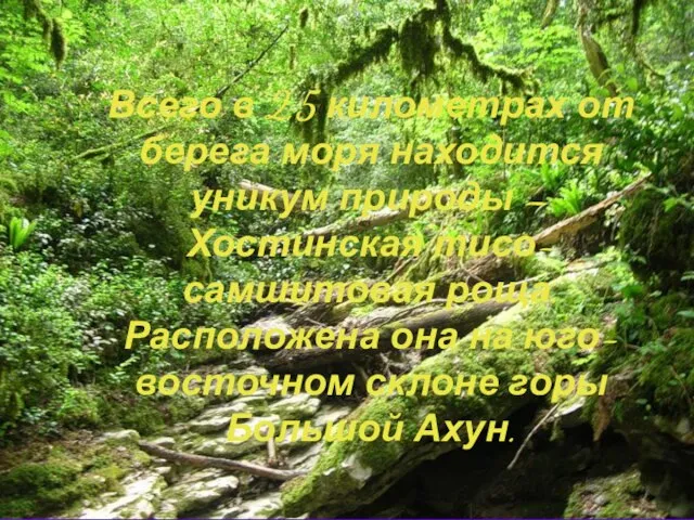 Всего в 2,5 километрах от берега моря находится уникум природы – Хостинская