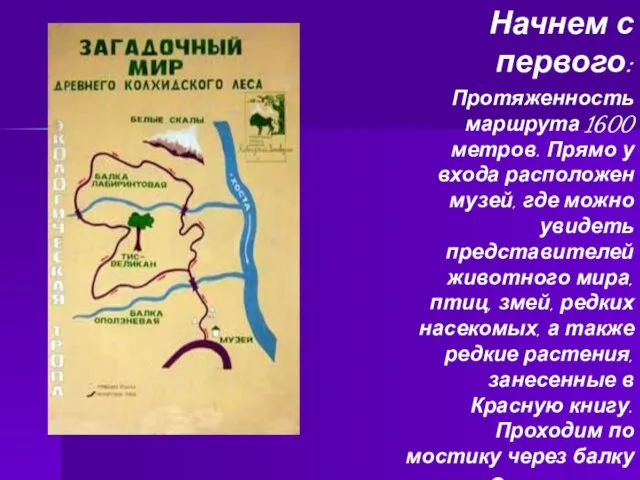 Начнем с первого: Протяженность маршрута 1600 метров. Прямо у входа расположен музей,