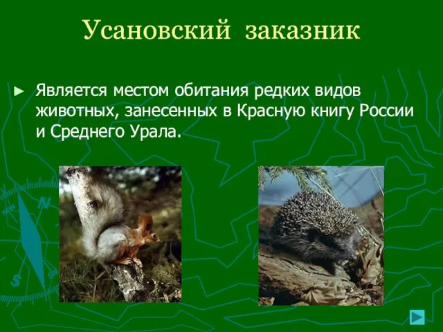 Усановский заказник Является местом обитания редких видов животных, занесенных в Красную книгу России и Среднего Урала.