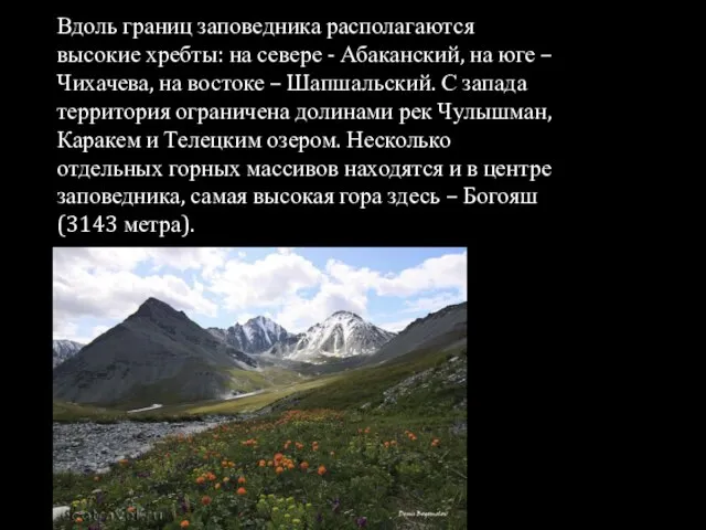 Вдоль границ заповедника располагаются высокие хребты: на севере - Абаканский, на юге