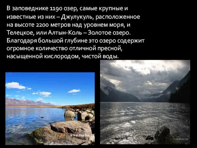 В заповеднике 1190 озер, самые крупные и известные из них – Джулукуль,