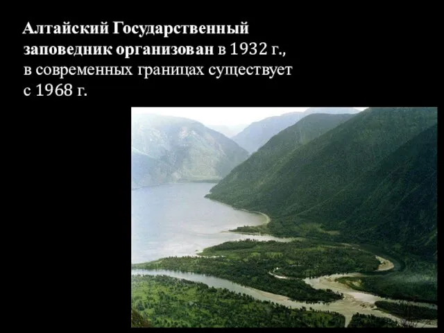 Алтайский Государственный заповедник организован в 1932 г., в современных границах существует с 1968 г.