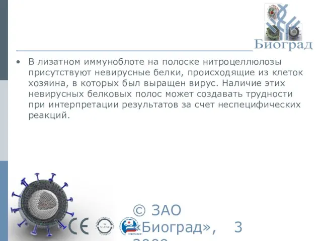 © ЗАО «Биоград», 2009г. В лизатном иммуноблоте на полоске нитроцеллюлозы присутствуют невирусные