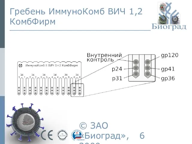 © ЗАО «Биоград», 2009г. Гребень ИммуноКомб ВИЧ 1,2 КомбФирм