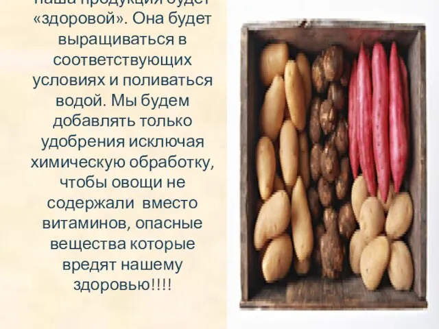 А самое главное то, что наша продукция будет «здоровой». Она будет выращиваться