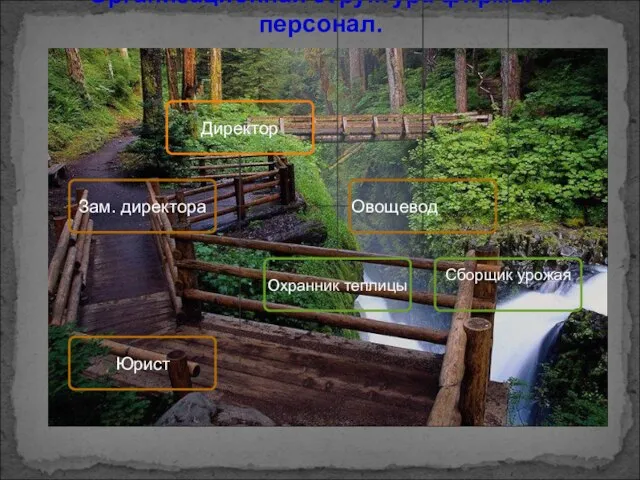 Организационная структура фирмы и персонал.