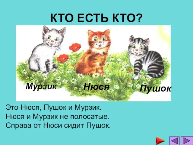 КТО ЕСТЬ КТО? Это Нюся, Пушок и Мурзик. Нюся и Мурзик не