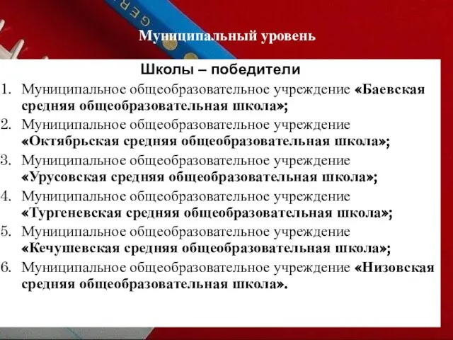 Муниципальный уровень Школы – победители Муниципальное общеобразовательное учреждение «Баевская средняя общеобразовательная школа»;