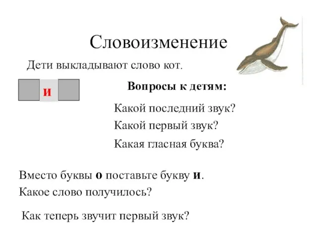 Словоизменение Дети выкладывают слово кот. о Вопросы к детям: Какой последний звук?