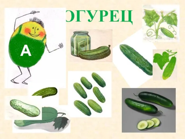 ОГУРЕЦ А