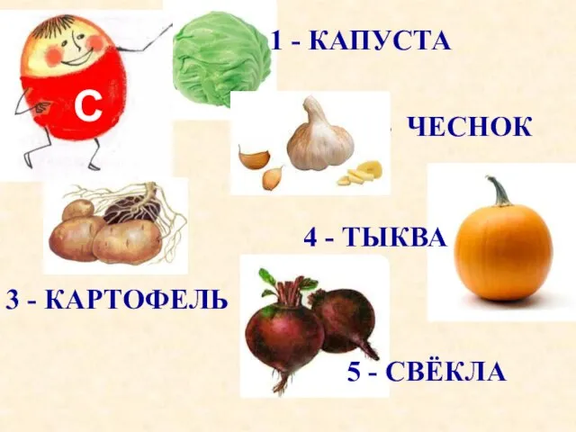 4 - ТЫКВА 5 - СВЁКЛА 2 - ЧЕСНОК 3 - КАРТОФЕЛЬ 1 - КАПУСТА С