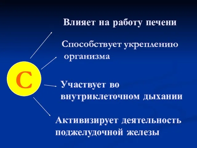 Участвует во внутриклеточном дыхании Способствует укреплению организма Активизирует деятельность поджелудочной железы Влияет на работу печени С