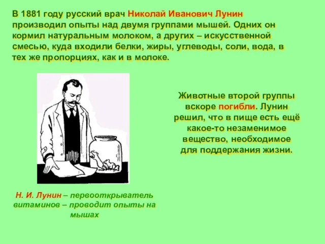 Н. И. Лунин – первооткрыватель витаминов – проводит опыты на мышах В