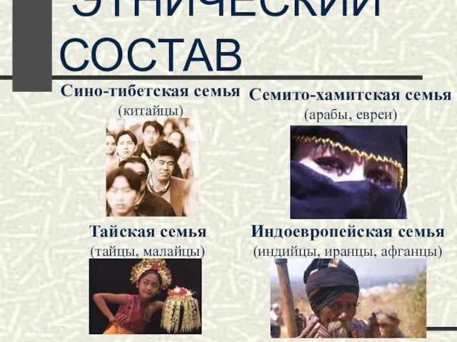 ЭТНИЧЕСКИЙ СОСТАВ Сино-тибетская семья (китайцы) Индоевропейская семья (индийцы, иранцы, афганцы) Тайская семья