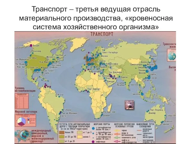 Транспорт – третья ведущая отрасль материального производства, «кровеносная система хозяйственного организма»