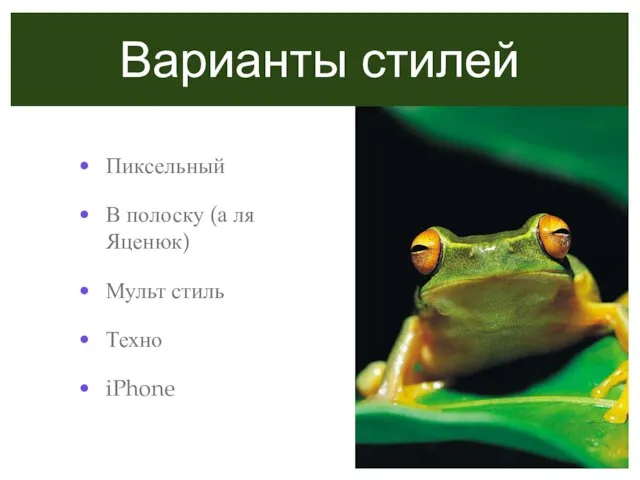 Варианты стилей Пиксельный В полоску (а ля Яценюк) Мульт стиль Техно iPhone