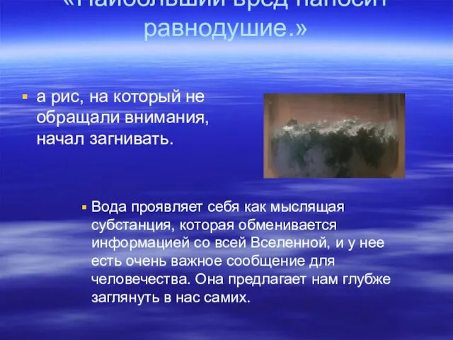 «Наибольший вред наносит равнодушие.» а рис, на который не обращали внимания, начал