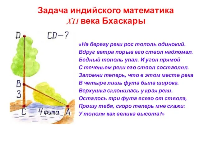 Задача индийского математика XII века Бхаскары «На берегу реки рос тополь одинокий.