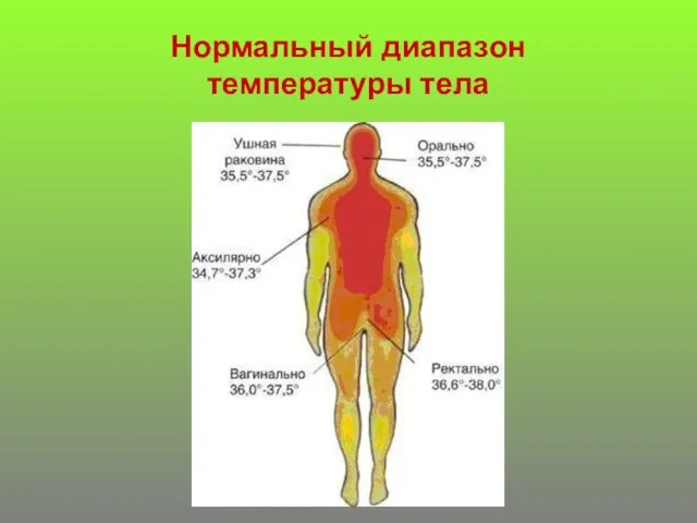 Нормальный диапазон температуры тела