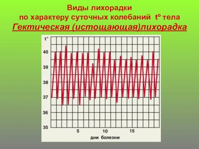 Виды лихорадки по характеру суточных колебаний tº тела Гектическая (истощающая)лихорадка